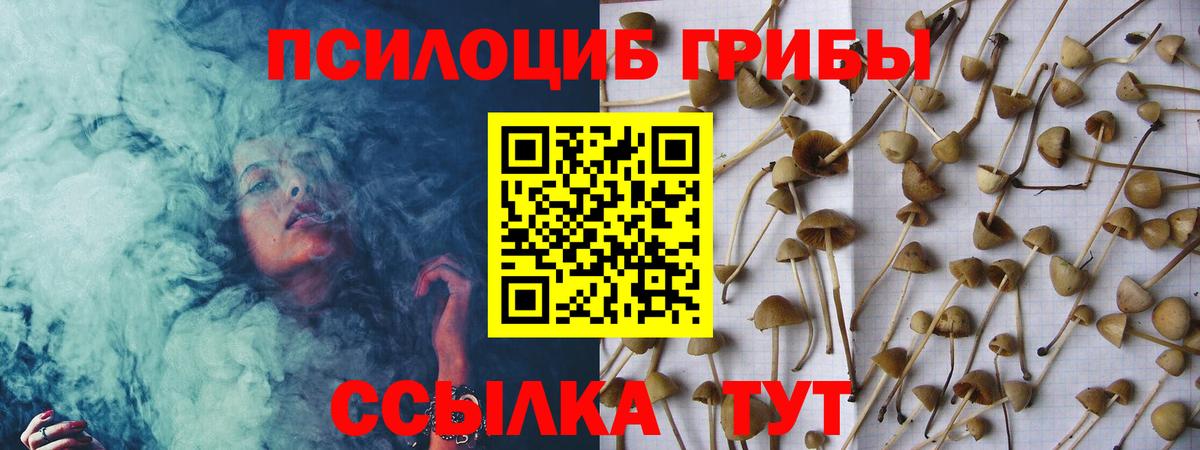 Лабытнанги  купить  цена  Вход с VPN  Галлюциногенные грибы мухоморы  Галлюциногенные грибы Magic Shrooms 