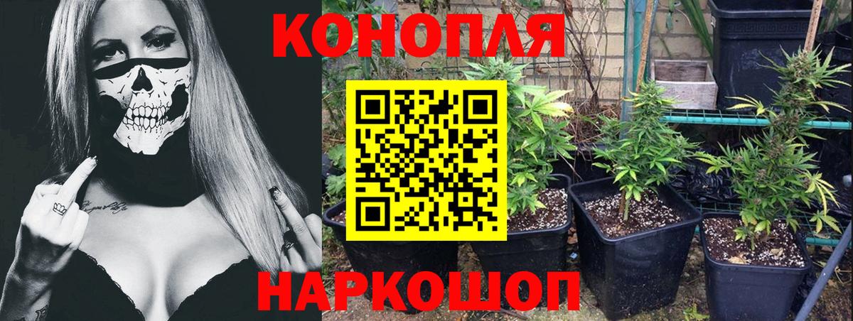 Шишки марихуана ГИДРОПОН  Шишки марихуана планчик  Шишки марихуана SATIVA & INDICA  МАРИХУАНА LSD WEED  Лабытнанги  Вход с VPN 